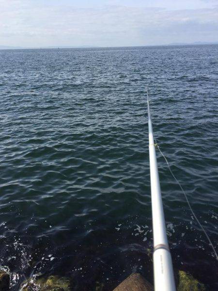 チヌ！何とか1枚