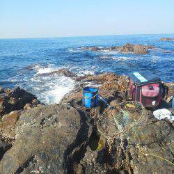 水温低下でグレ・・坊主でした・・