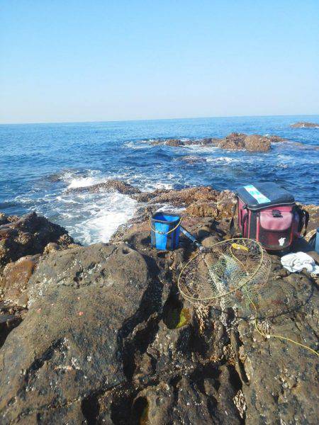 水温低下でグレ・・坊主でした・・