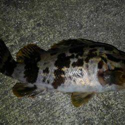 短時間ロックゲーム！