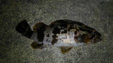 短時間ロックゲーム！