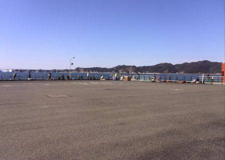 サビキで良型アジ、イワシ