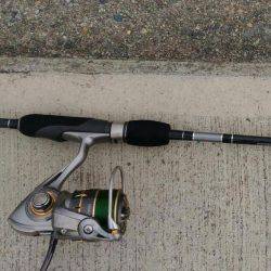 メバリングでマハゼ