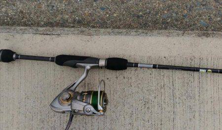 メバリングでマハゼ