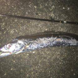 あられに打たれながら…