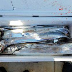 遊漁船　ニライカナイ 釣果