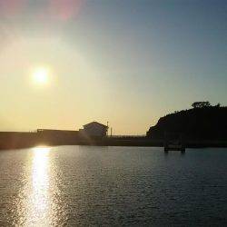 日中にまったりと