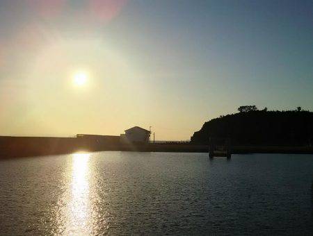 日中にまったりと