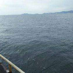 サビキ釣りにてアジ・サバ・イワシ