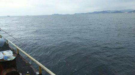 サビキ釣りにてアジ・サバ・イワシ