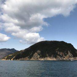 鯛サビキ  小豆島  Fisherman Dreams　DI