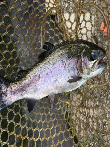 裾野フィッシングパーク