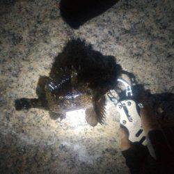 久々ライトゲーム