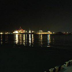 チニング、メバリング