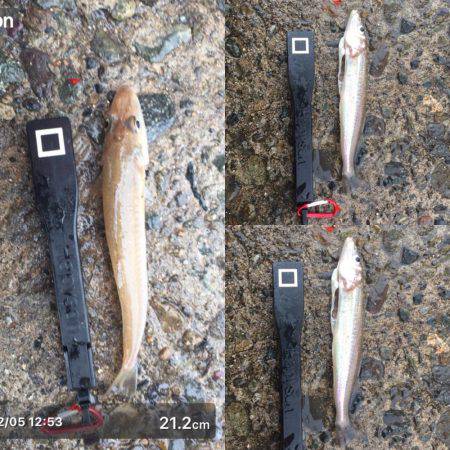 雨の中で投げ釣り