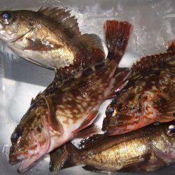 場所移動が正解