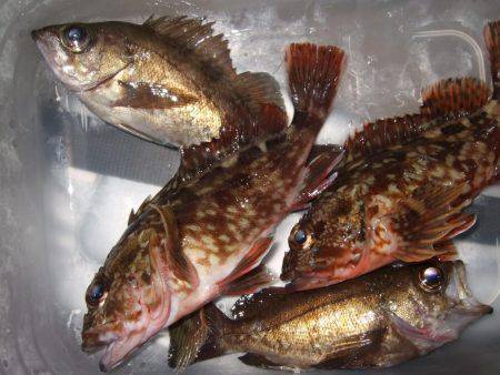 場所移動が正解