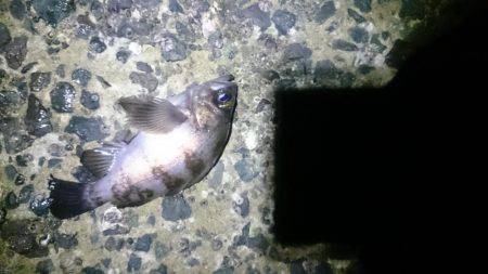 またしても強風。