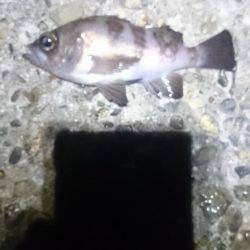 折角、風がないのに！