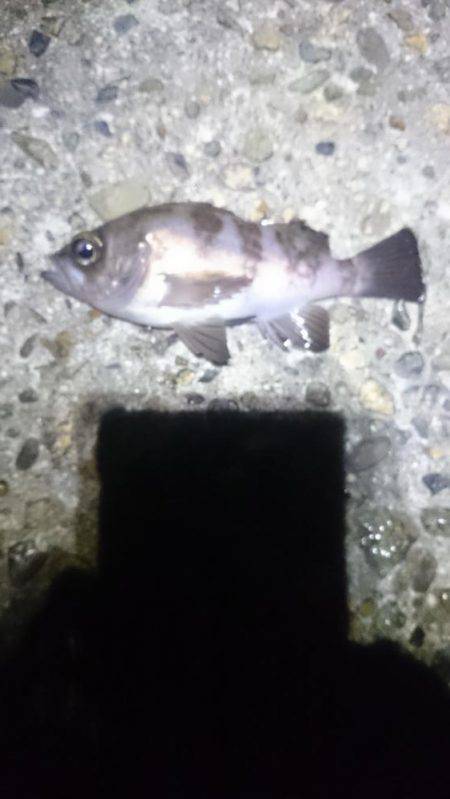 折角、風がないのに！