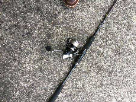 メタルマルのチョンチョンストーン