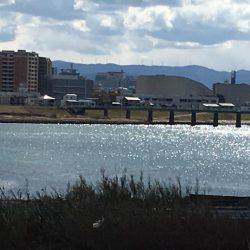 フラットフィッシング