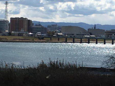 フラットフィッシング