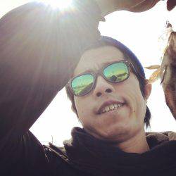 サゴシは300m先か？