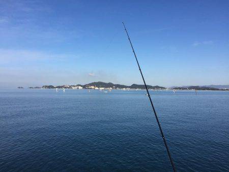 虫ヘッド、初挑戦