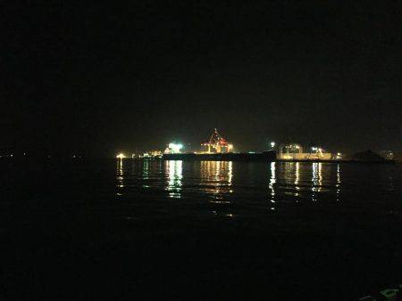 ライトタックルでシーバス