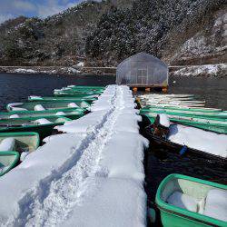 生野銀山湖ワカサギ釣り