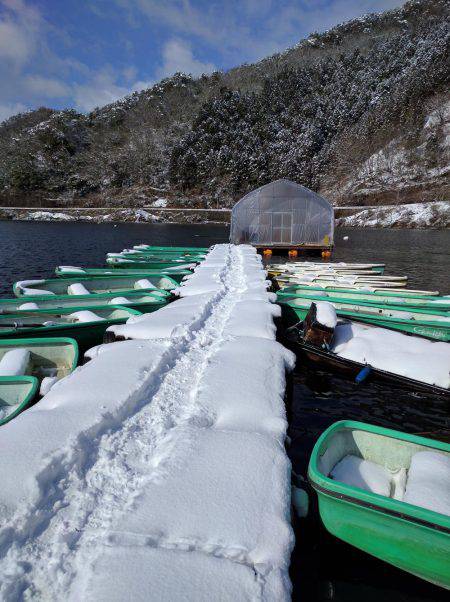 生野銀山湖ワカサギ釣り