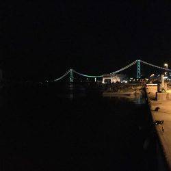 メバル釣れました！