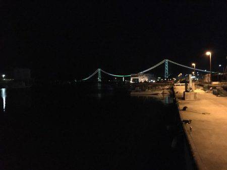 メバル釣れました！