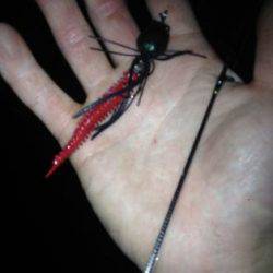 神戸湾奥ナイトチニング