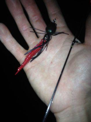 神戸湾奥ナイトチニング