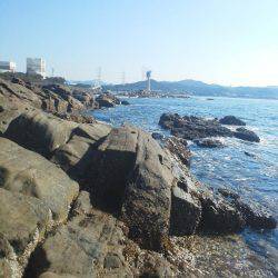 水温低下でグレ・・坊主でした・・