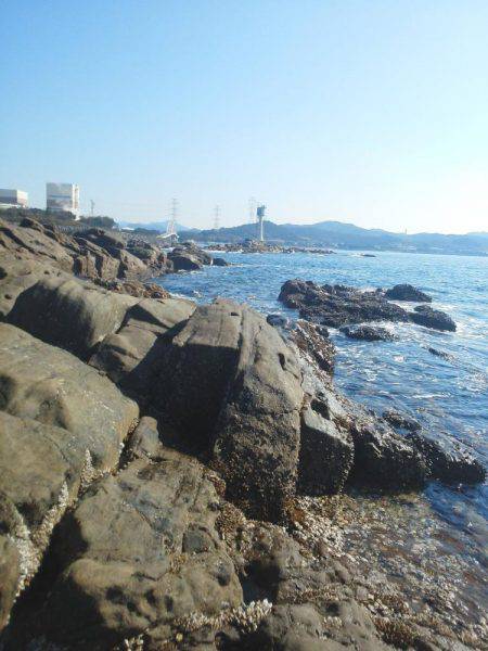 水温低下でグレ・・坊主でした・・