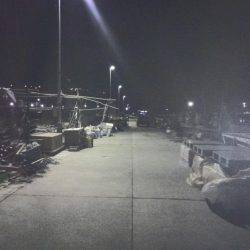 漁港メバリング