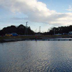 大安トラウトレイク 釣果