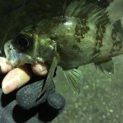 あられに打たれながら…