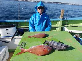 久里浜黒川本家 釣果