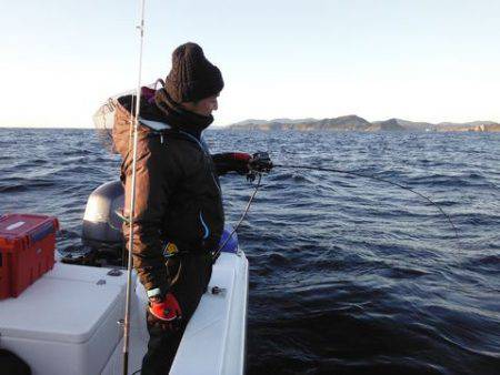 開進丸 釣果