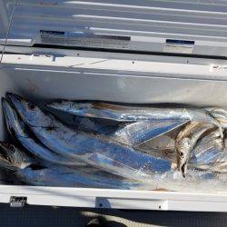 遊漁船　ニライカナイ 釣果