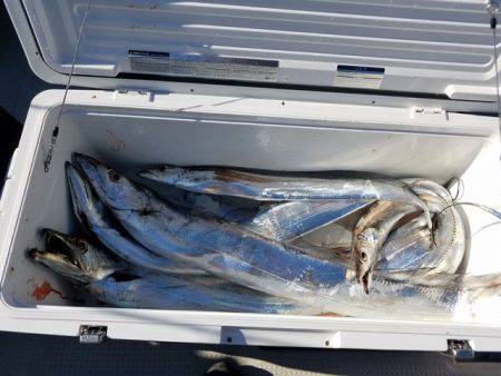 遊漁船　ニライカナイ 釣果