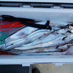 遊漁船　ニライカナイ 釣果