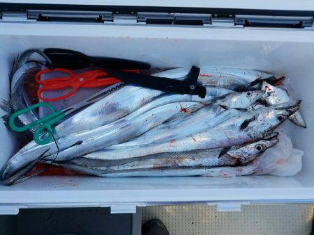 遊漁船　ニライカナイ 釣果