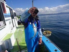 久里浜黒川本家 釣果