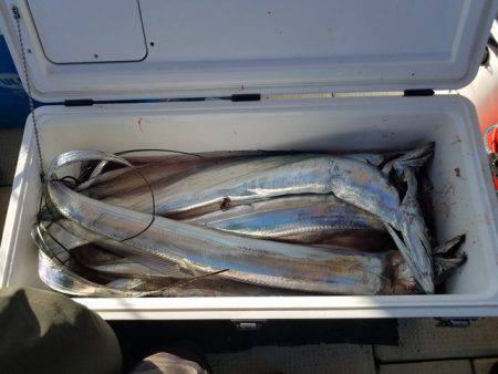 遊漁船　ニライカナイ 釣果
