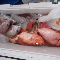 第二むつ漁丸 釣果